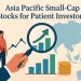 Asia Pacific small cap stocks for patient investors